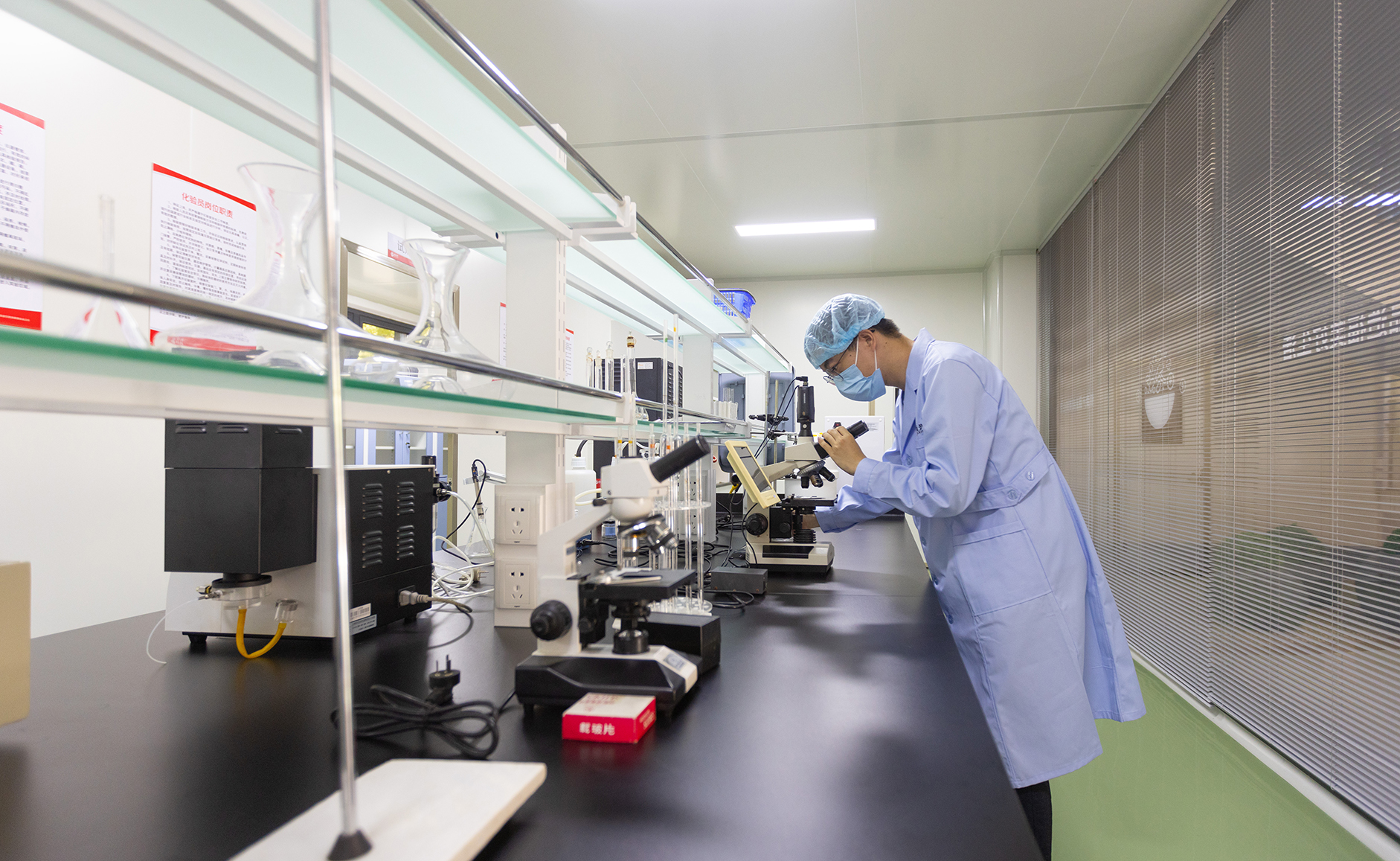 mushrooms processing.jpg